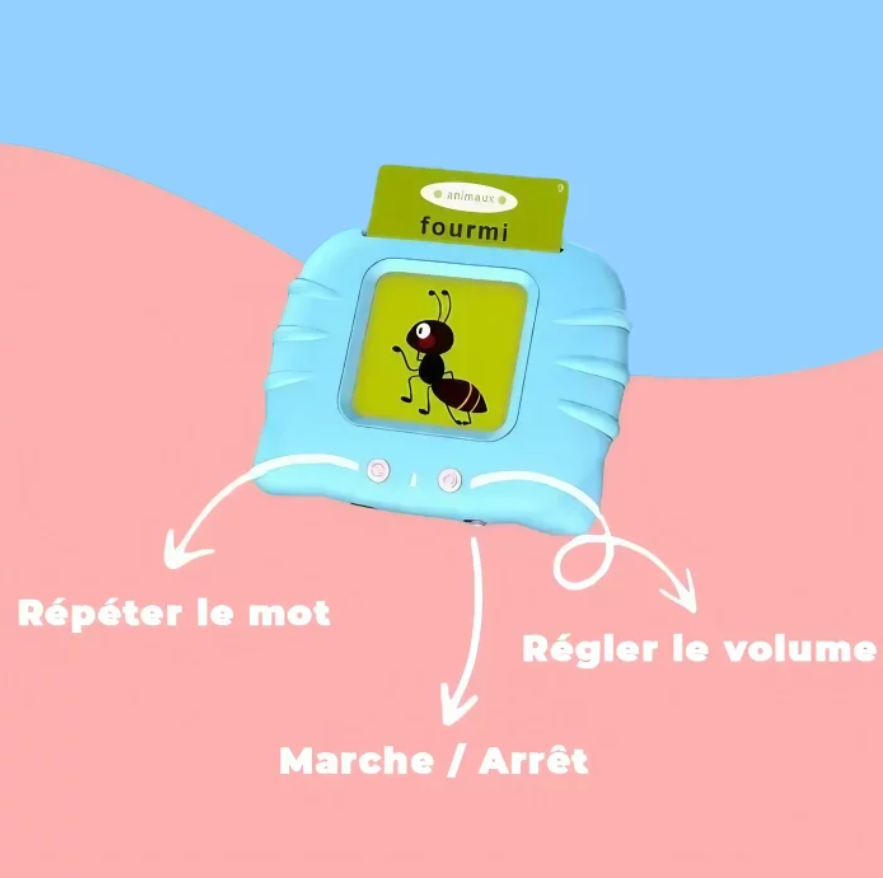 Cartes Flash Parlantes pour Enfants en français et en anglais